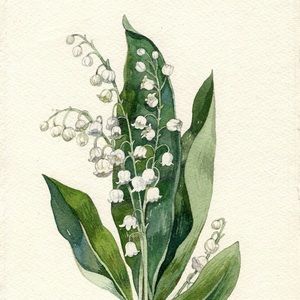 Meet your Posher, Florence